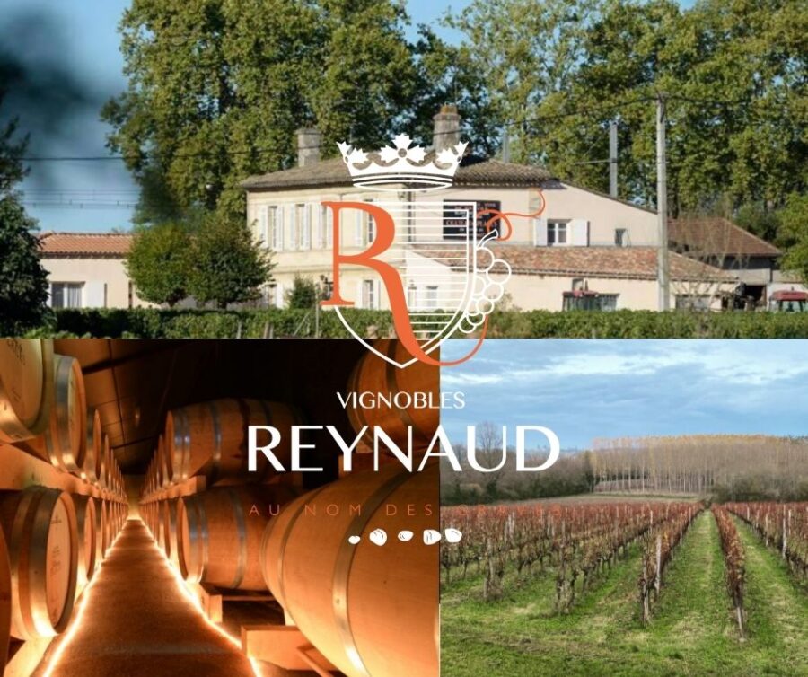 Vignobles Reynaud: chai et vignobles