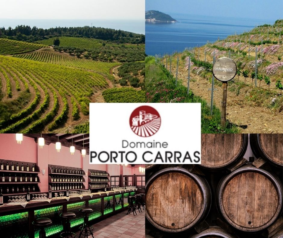 Domaine Porto Carras: vignobles, chai et salle de dégustation