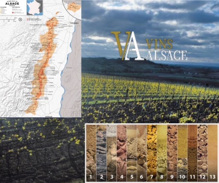 Carte viticole d'Alsace et types de sols