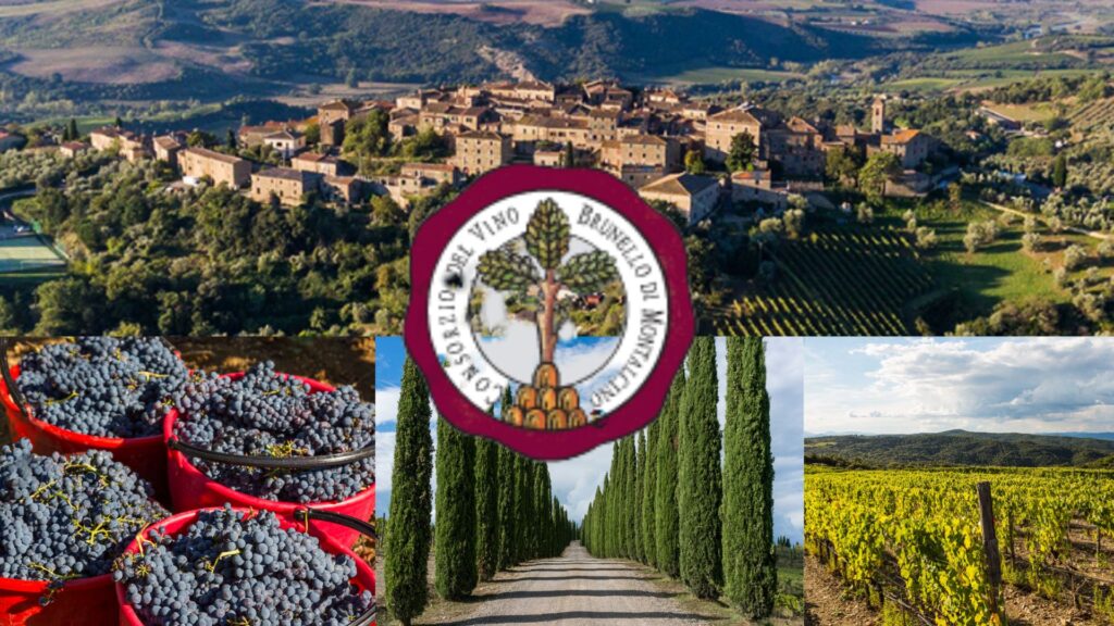 Brunello di Montalcino DOCG: Montalcino, raisins, Sangiovese, vignobles