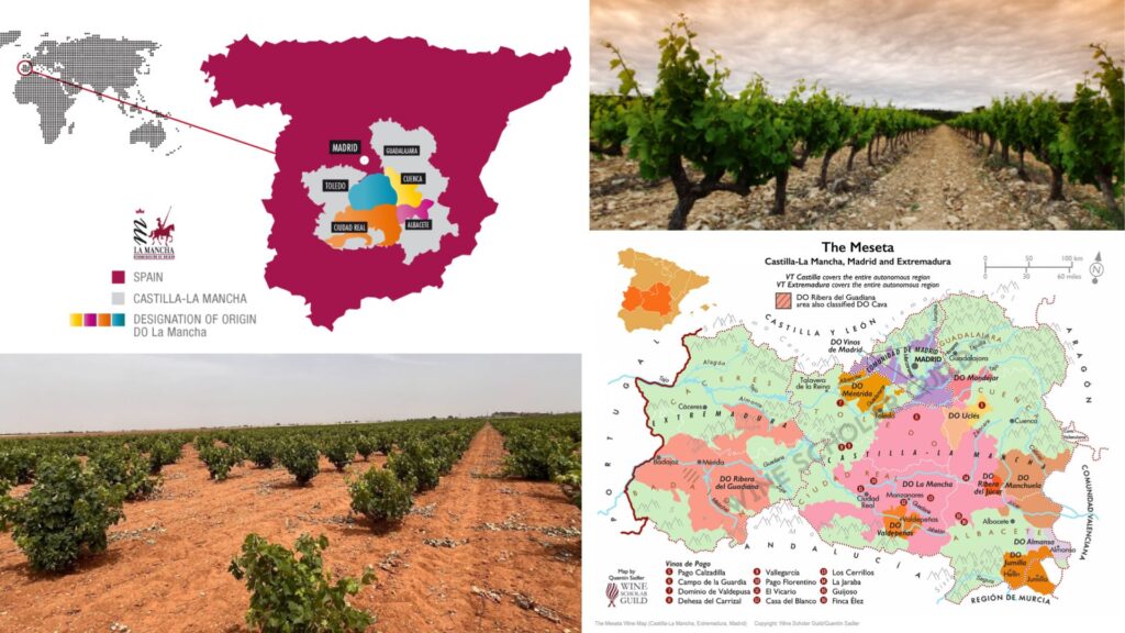 Carte viticole Castilla La Mancha