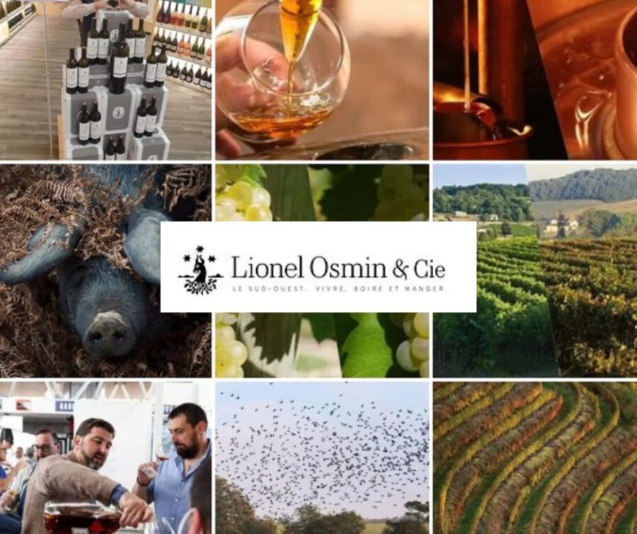 Lionel Osmin: vignobles, chai, dégustation