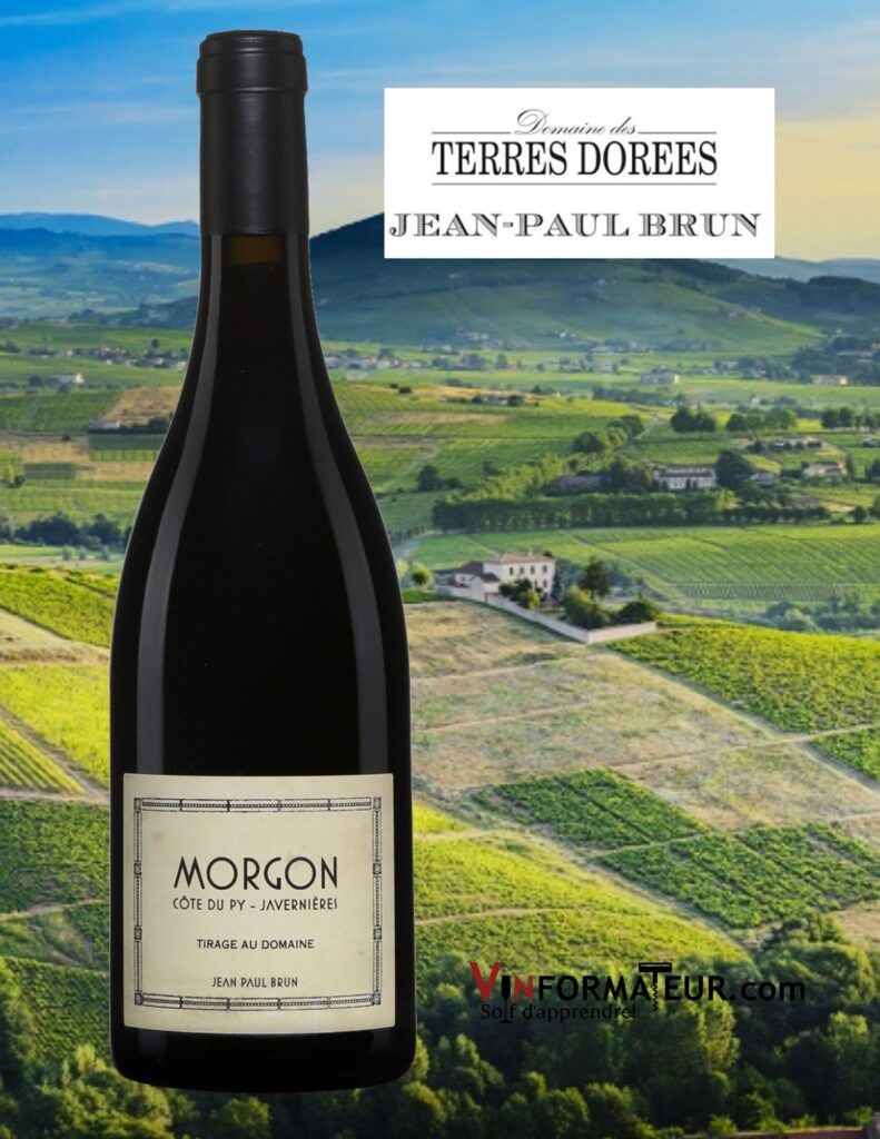 Bouteille de Jean-Paul Brun, Morgon, Côte du Py, Javernières, Beaujolais, Domaine des Terres Dorées, vin rouge, 2020
