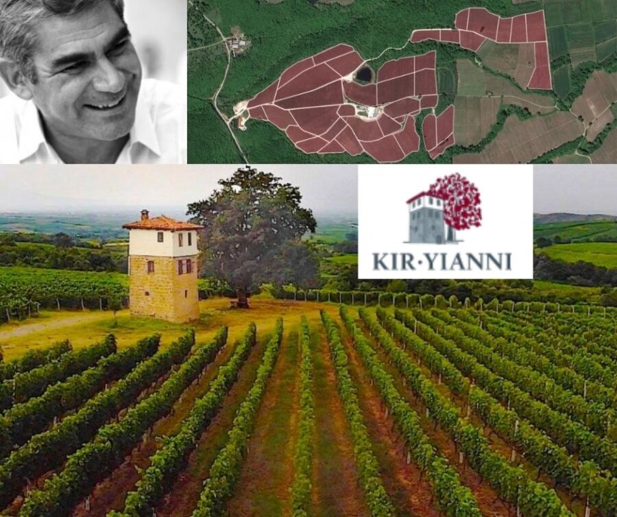 Kir-Yianni: Stellios Boutaris, parcelles de vignobles, vignobles