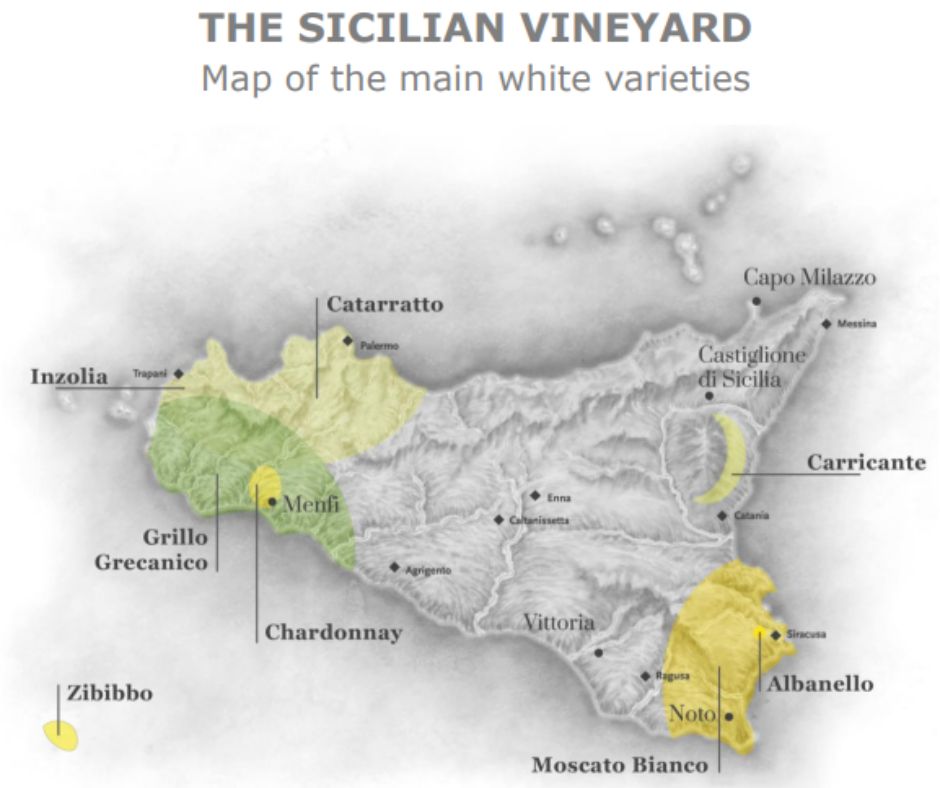 Carte viticole de la Sicile - Planeta