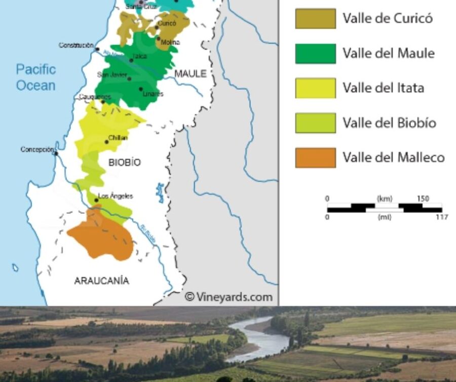 Carte viticole Vallée de la Maule, Chili