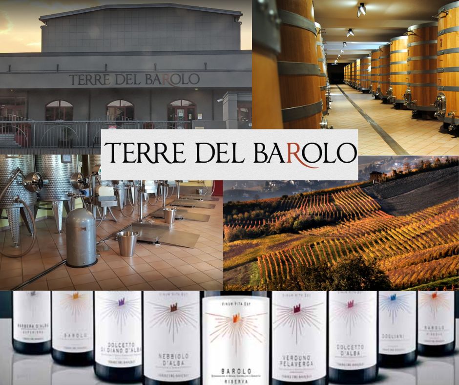Terre del Barolo: chai, vignobles et bouteilles