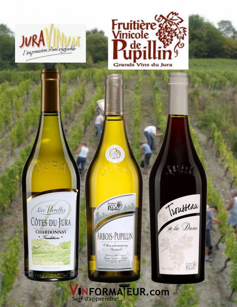 Bouteilles de Vins du Jura: vins blancs Arbois Pupillin Chardonnay floral 2017 et Chardonnay Tradition 2017, vin rouge Trousseau à la Dame Arbois Pupillin 2021.