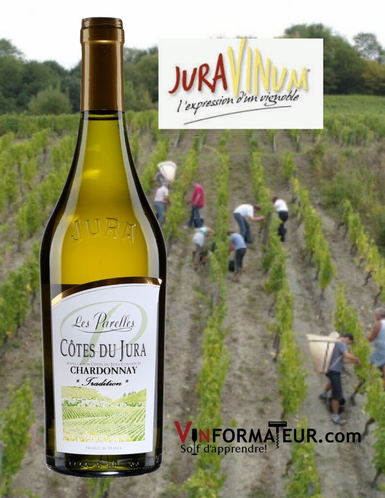Bouteille de Chardonnay, Les Parelles, Tradition, France, Jura, Côtes du Jura, vin blanc (vin de voile), Juravinum, 2017