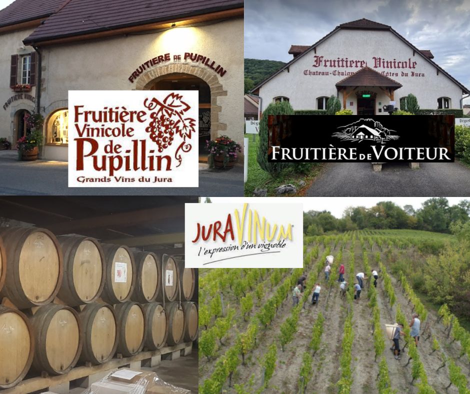 Fruitière vinicole de Pupillin, Fruitière de Voiteur et Juravinum: chais et vignobles
