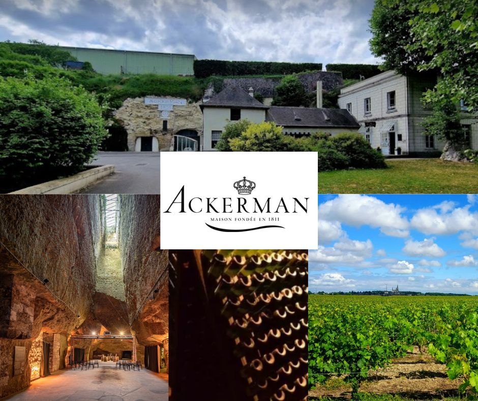Maison Ackerman: chai et vignobles