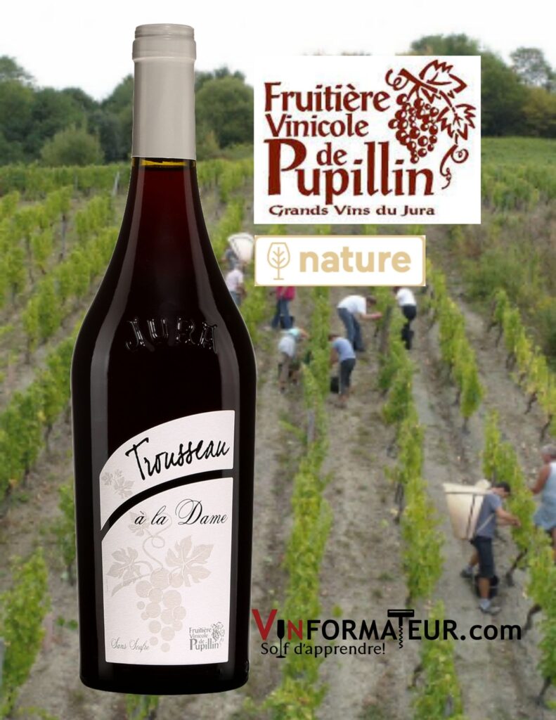 Bouteille de Trousseau, Trousseau à la Dame, France, Jura, Arbois-Pupillin, vin rouge nature (sans sulfites ajoutés), Fruitière Vinicole de Pupillin , 2021