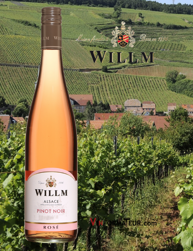 Bouteille de Willm, Pinot Noir, Rosé, France, Alsace, 2021