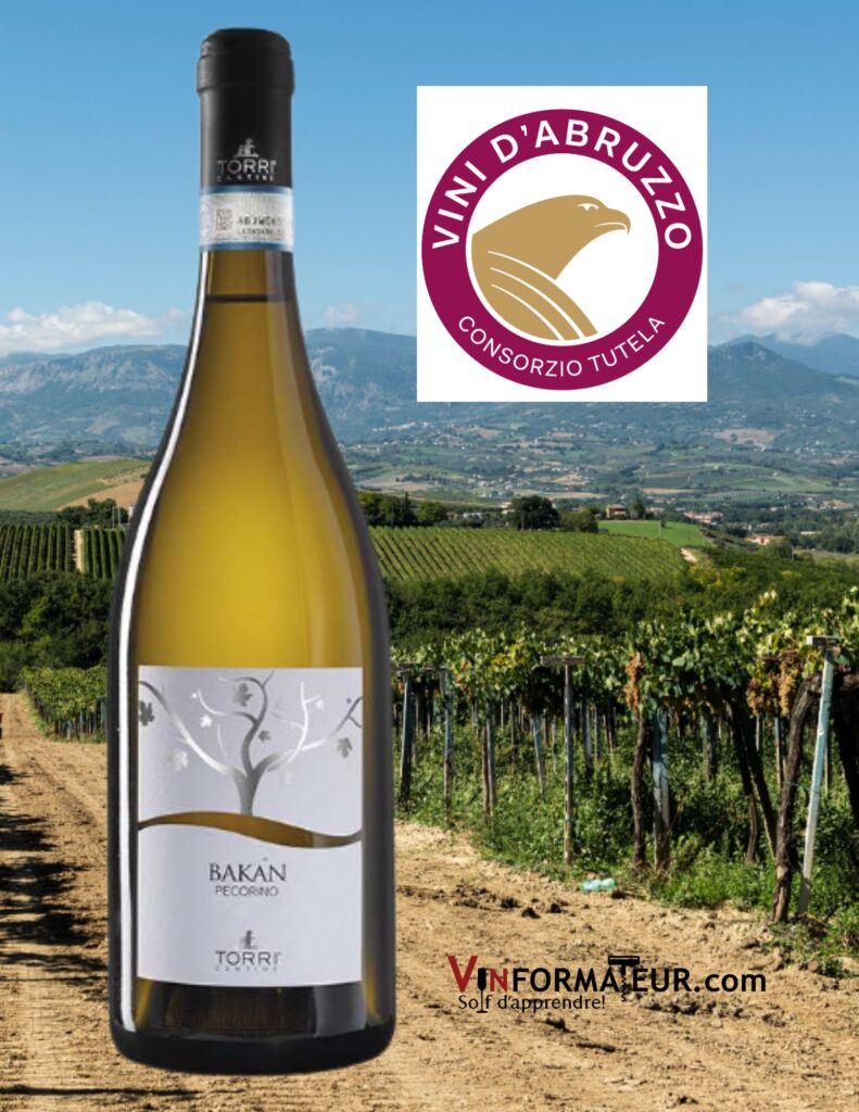 Montepulciano d’Abruzzo, Bakan, Pecorino, vin blanc bio, Torri Cantine bouteille