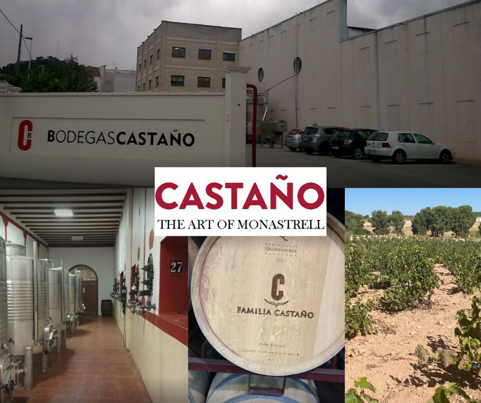Bodegas Castano: chai et vignobles