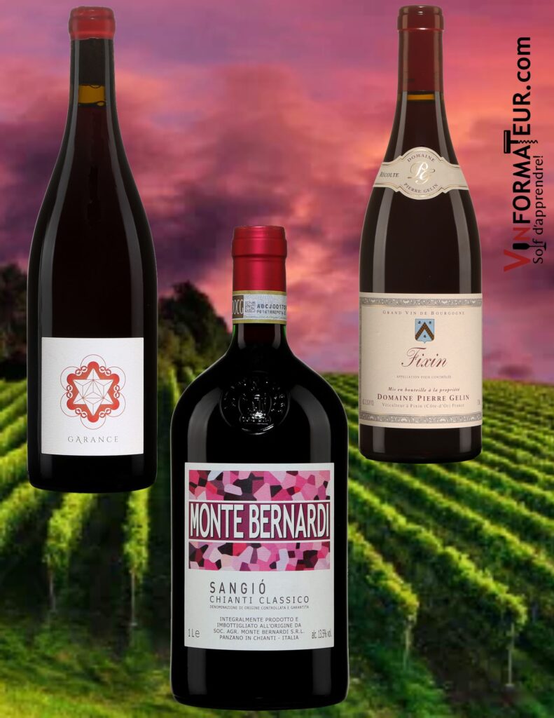 Bouteilles de Garance Pinot d'Aunis, Monte Bernardi Sangio, Pierre Gelin Fixin