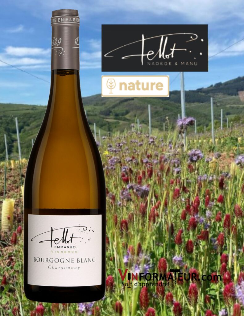 Bouteille de Chardonnay, Bourgogne blanc (Beaujolais), Domaine Emmanuel Fellot, vin blanc nature (en conversion au bio), 2020