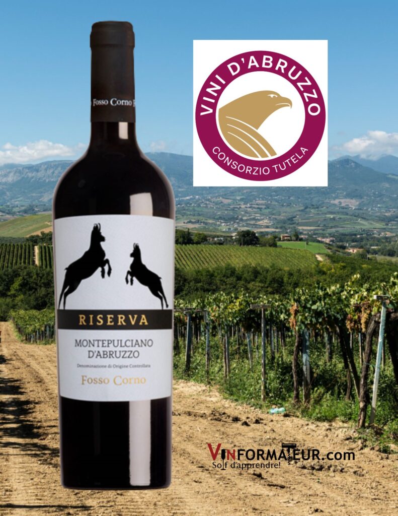 La D couverte Des Vins De Montepulciano D Abruzzo Vinformateur la-d-couverte-des-vins-de-montepulciano-d-abruzzo-vinformateur