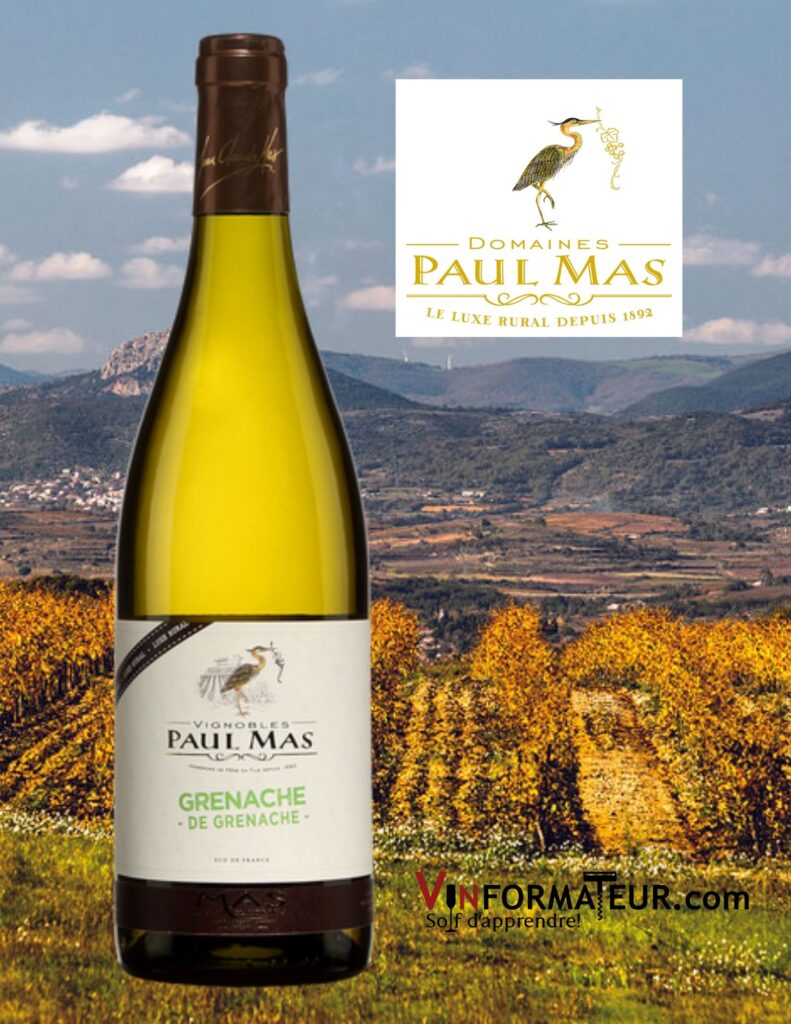 Grenache de Grenache, Domaines Paul Mas, Languedoc-Roussillon, vin blanc bouteille
