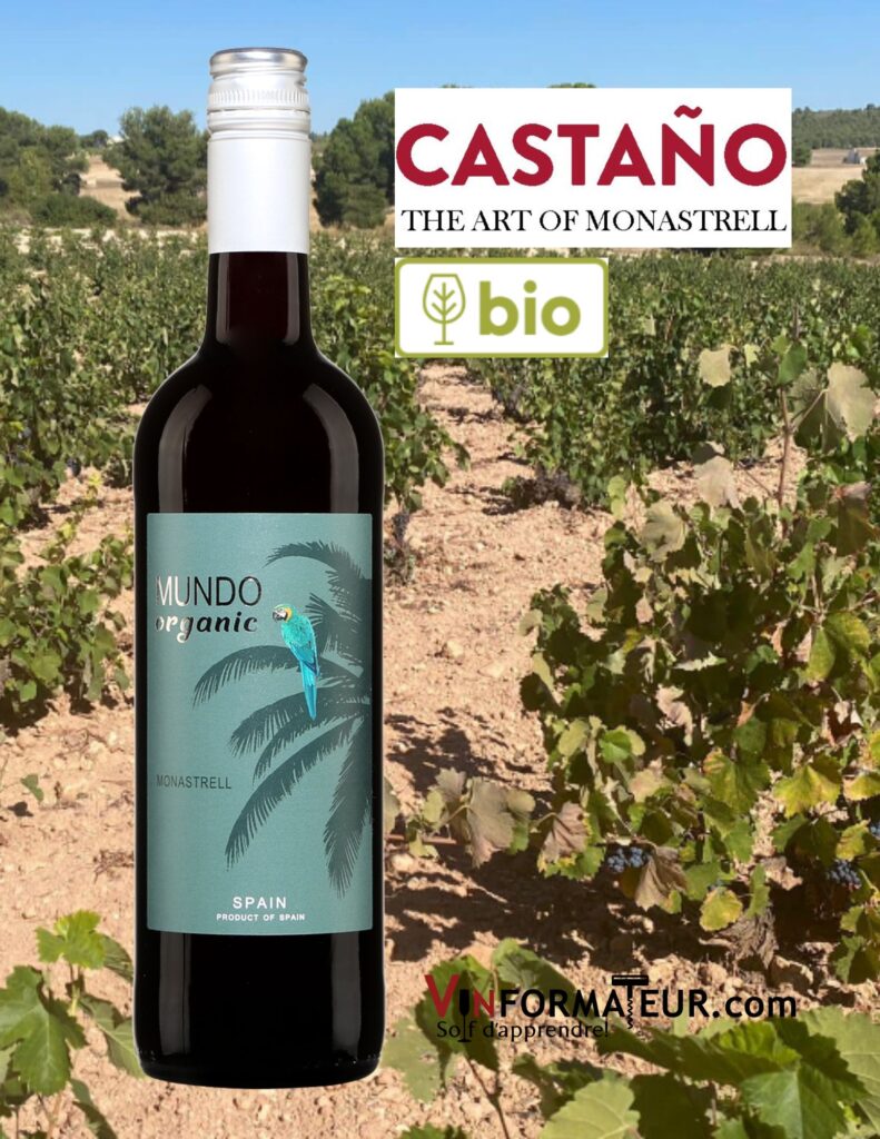 Mundo Organic, Monastrell, Espagne, Bodegas Castano, vin rouge bio, 2020 bouteille 