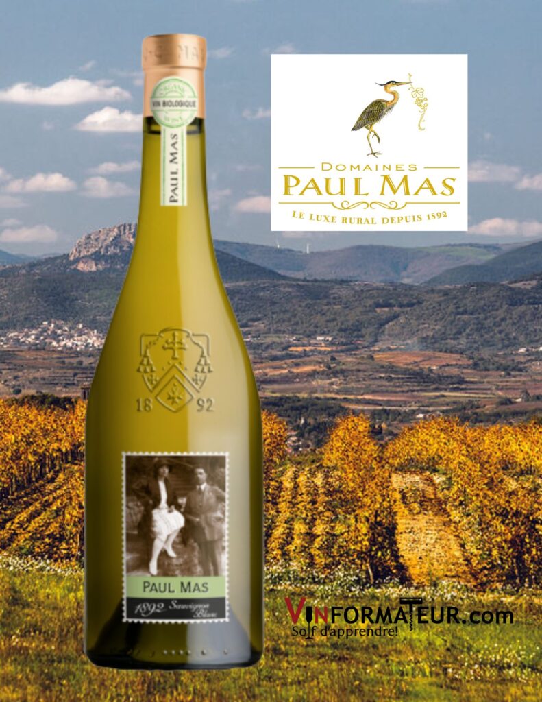 Nouveau produit! Janvier 2023, Sauvignon blanc, Domaines Paul Mas, Languedoc-Roussillon bouteille