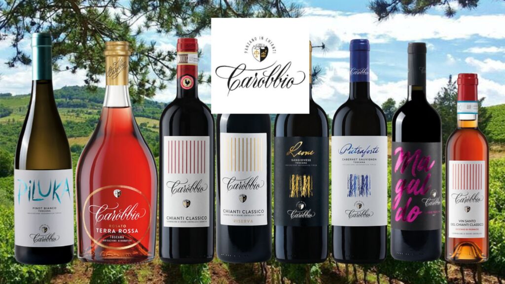 Bouteilles Tenuta Carobbio, Pinot Bianco Piluka, Rosato Terra Rossa, Chianti Classoco, Chianti Classico Riserva, Leone, Pietraforte et Vino Santo.