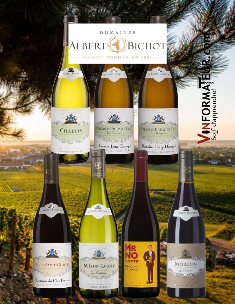 Bouteilles des vins dégustés - Domaines Albert Bichot