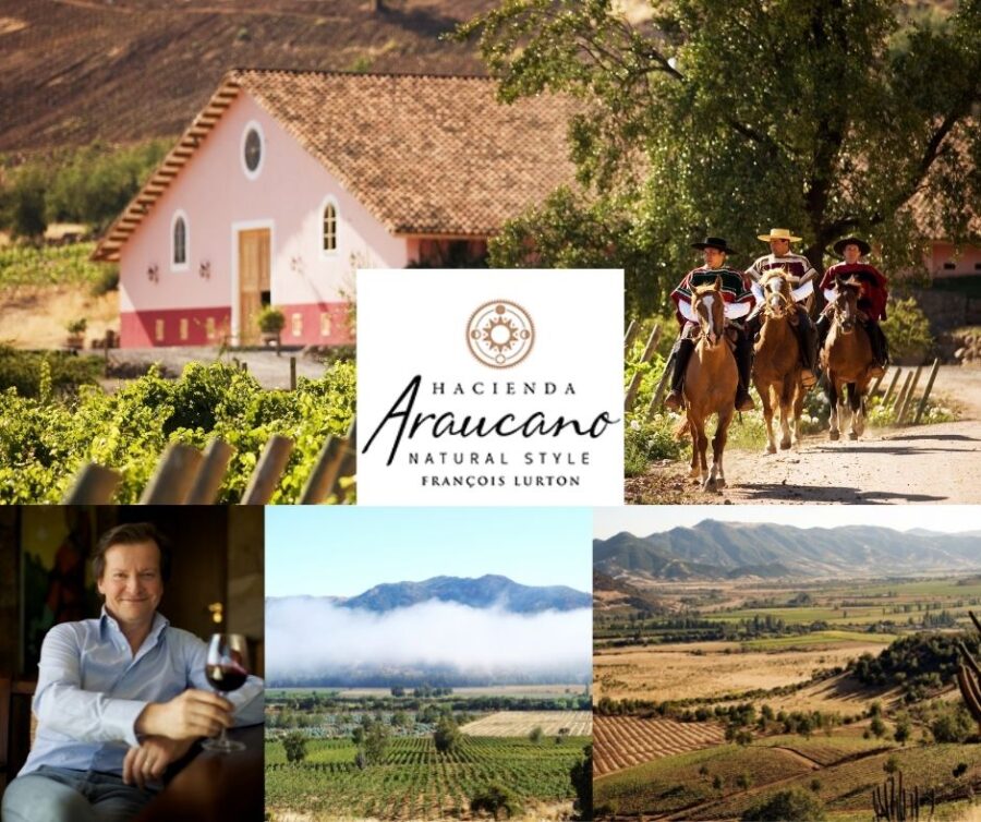 Vina Hacienda Araucano: François Lurton, chai et vignobles