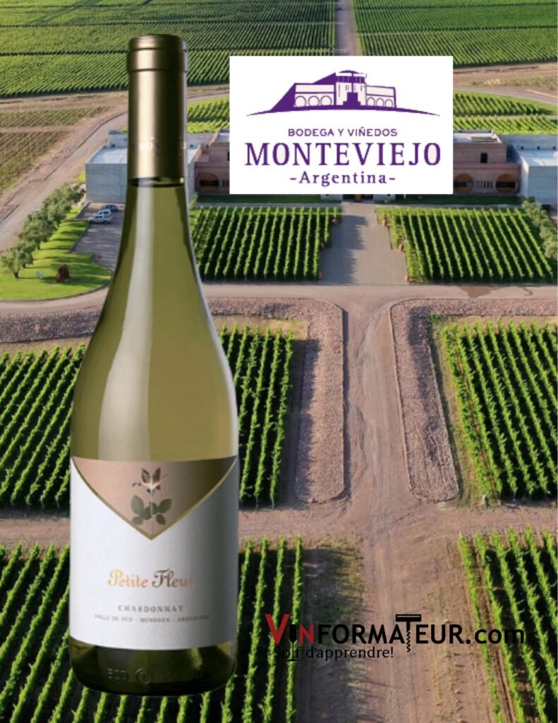 Petite Fleur, Chardonnay, Bodega Monteviejo, Argentine, Valle de Uco, vin blanc, 2021 bouteille