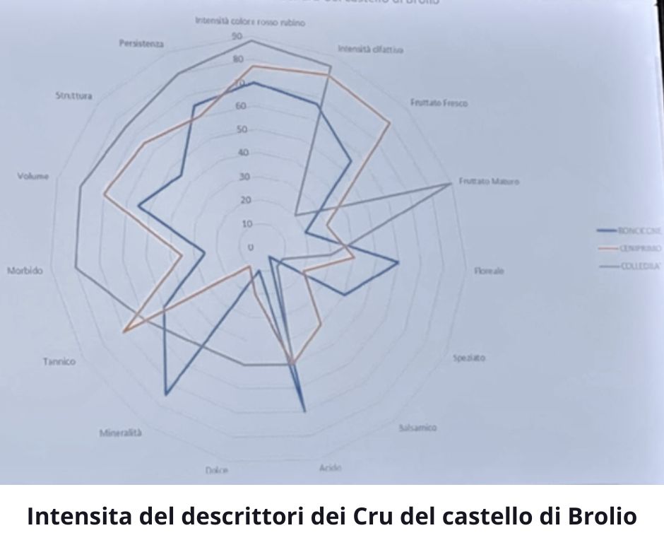 Graphe du profil aromatique des 3 Crus de Castello di Brolio Roncicone, Ceniprimo et Colledila