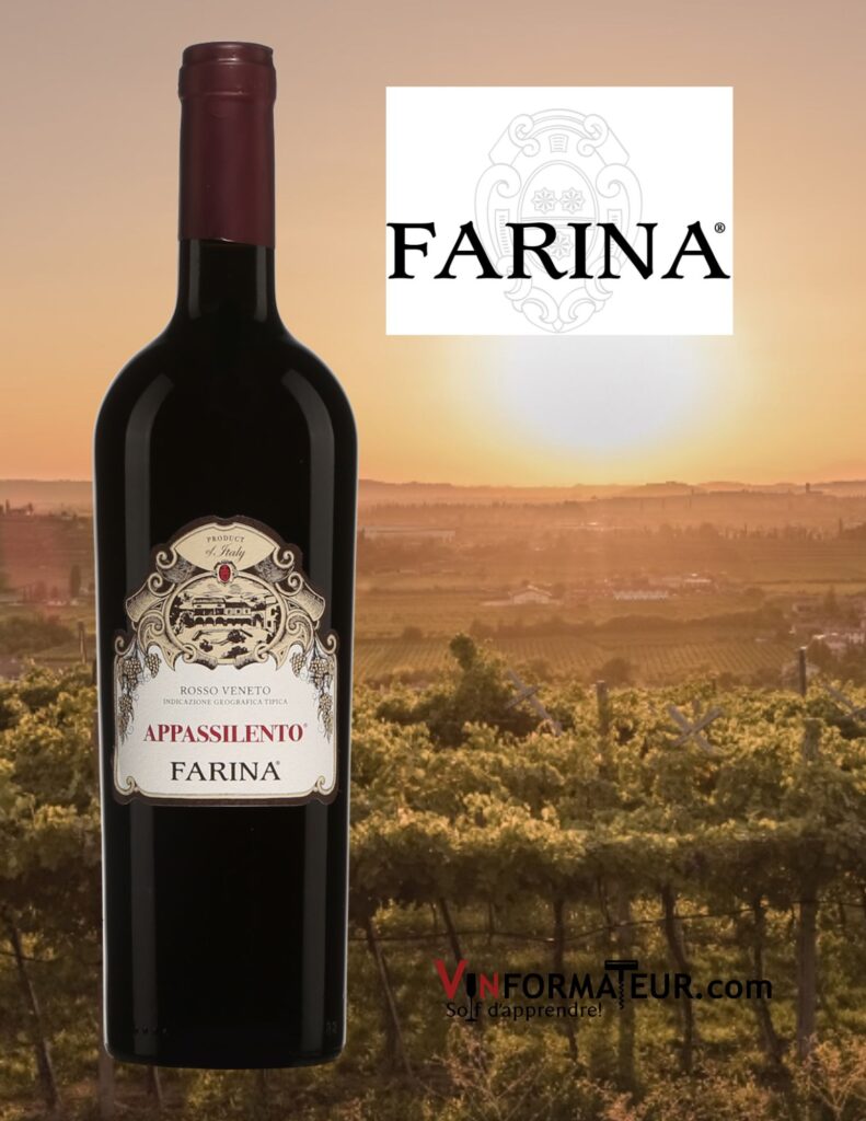 Farina, Appassilento, Vénétie, Rosso Veneto, vin rouge, 2018 bouteille