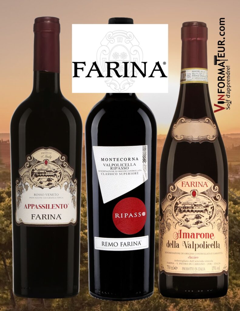 Les vins de la maison Farina: Appassilento, Ripasso et Amarone. Des vins rouges à prix abordables tous disponibles à la SAQ. bouteilles