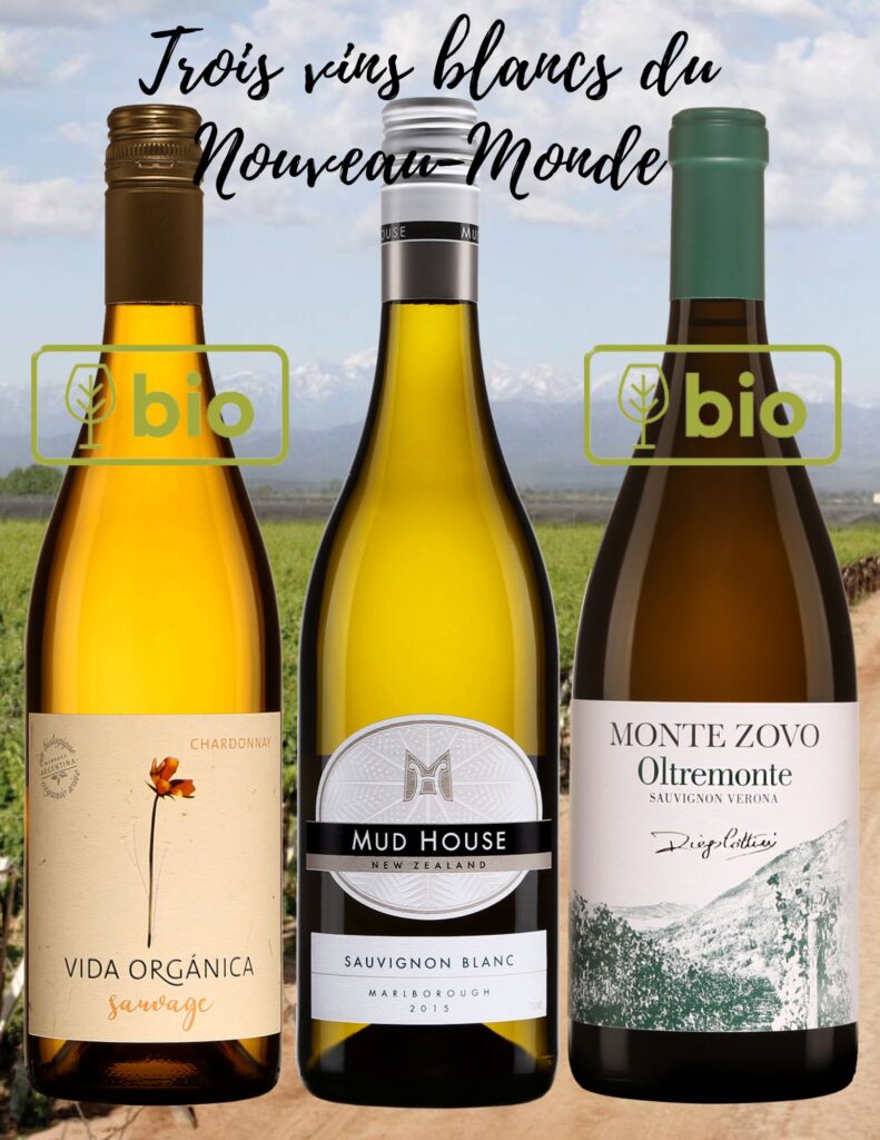 Sauvage, Vida Organica, Chardonnay, 2021, Mud House, Sauvignon blanc, Nouvelle-Zélande, 2021, Monte Zovo, Sauvignon blanc, Oltremonte, 2021. bouteilles