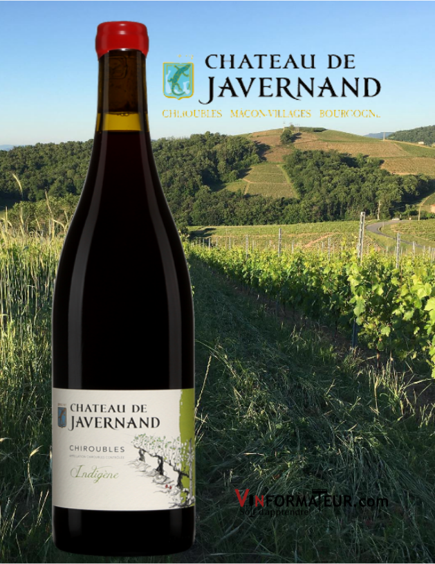 Château de Javernand, Cuvée Indigène, France, Beaujolais, Chiroubles AOC, vin rouge nature, 2020 bouteille