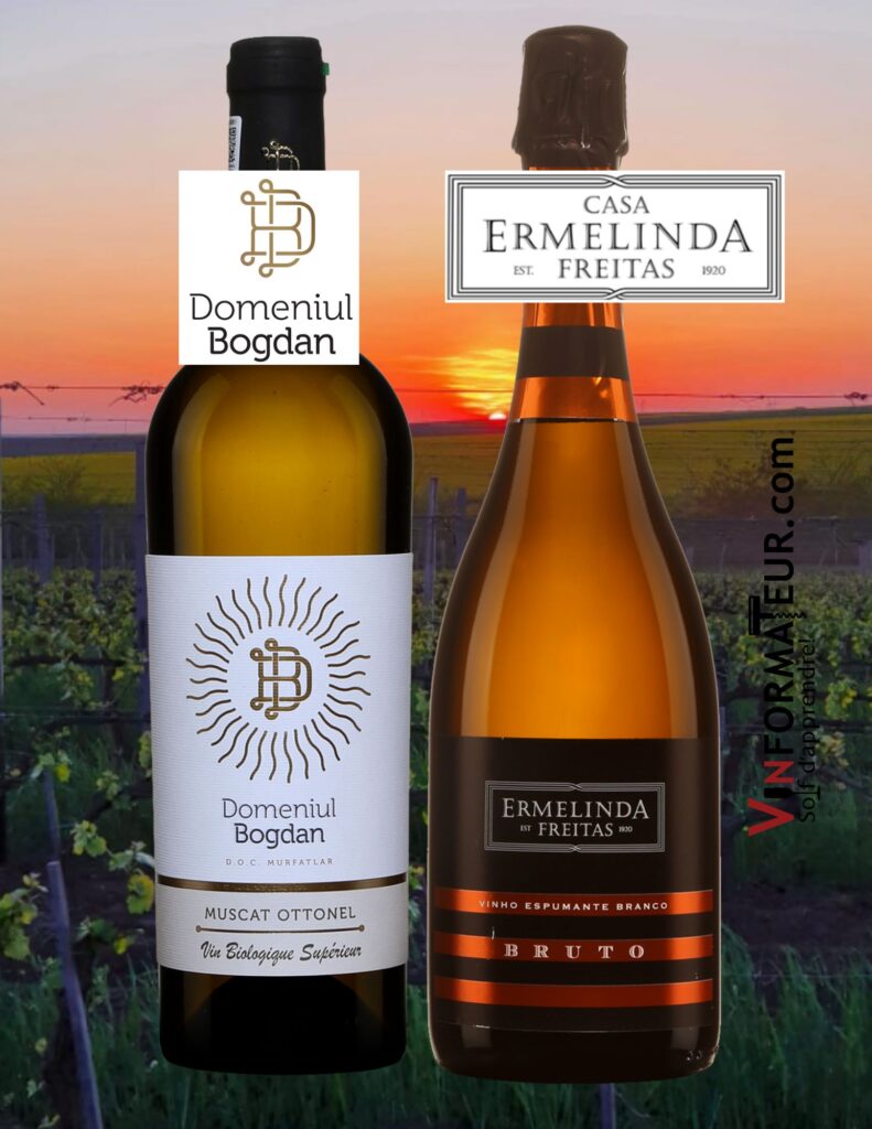 Casa Ermelinda Freitas, Espumante, Bruto, Portugal, Péninsule de Sétubal, Domeniul Bogdan, Muscat Ottonel, vin blanc nature, Roumanie, 2020. bouteilles