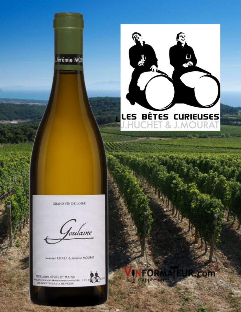 Goulaine, France, Val de Loire, Muscadet Sèvre et Maine, Les Bêtes Curieuses, Vignobles Mourat, 2014 bouteille