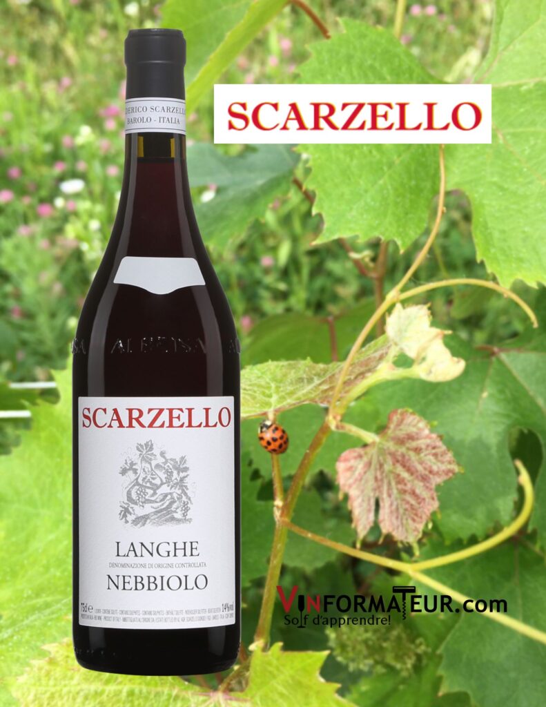 Scarzello, Langhe, Nebbiolo, vin rouge, 2020 bouteille