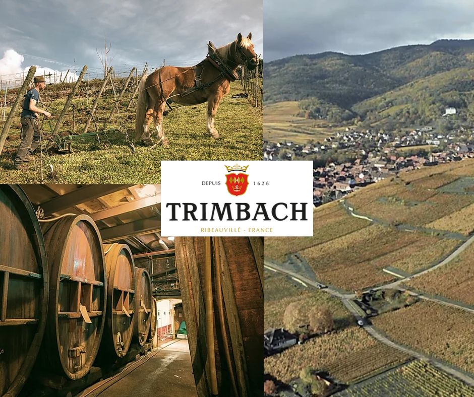 Trimbach: labours, vignobles et chai