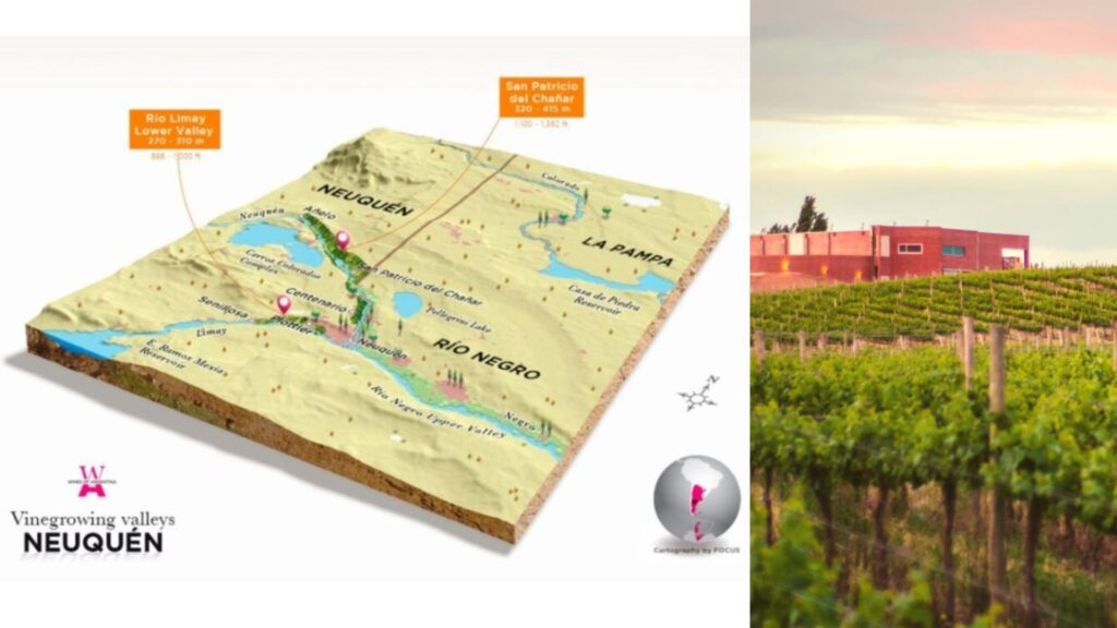 Carte viticole Argentine région Neuquen