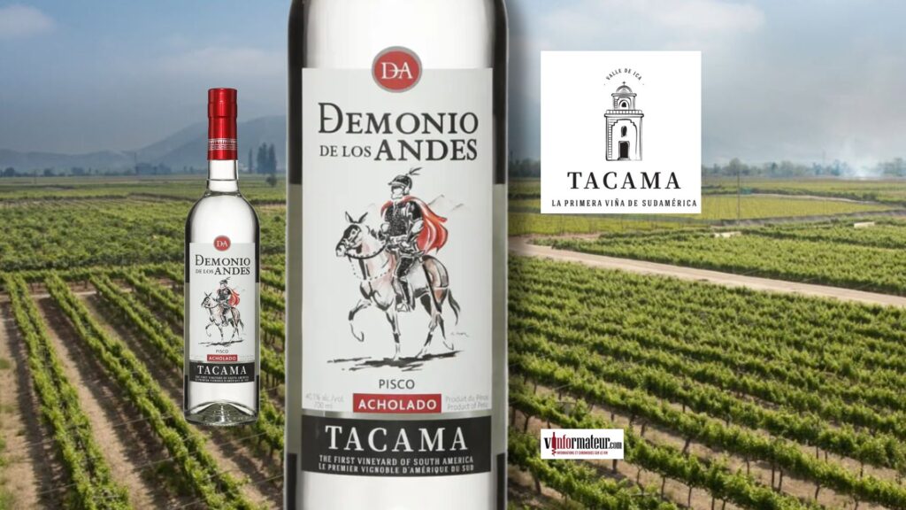 Pisco Acholado (eau de vie de fruit), Demonio de los Andes, Perou, Vina Tacama bouteille