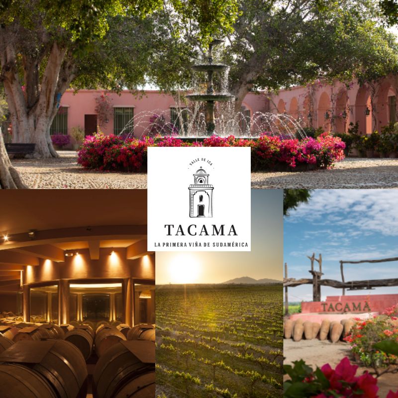 Tacama: chai, vignobles