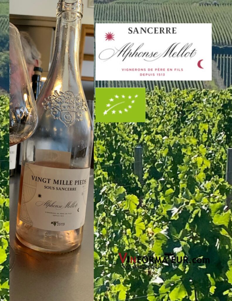 Vingt mille pieds sous Sancerre, vin rosé bio, 2019
