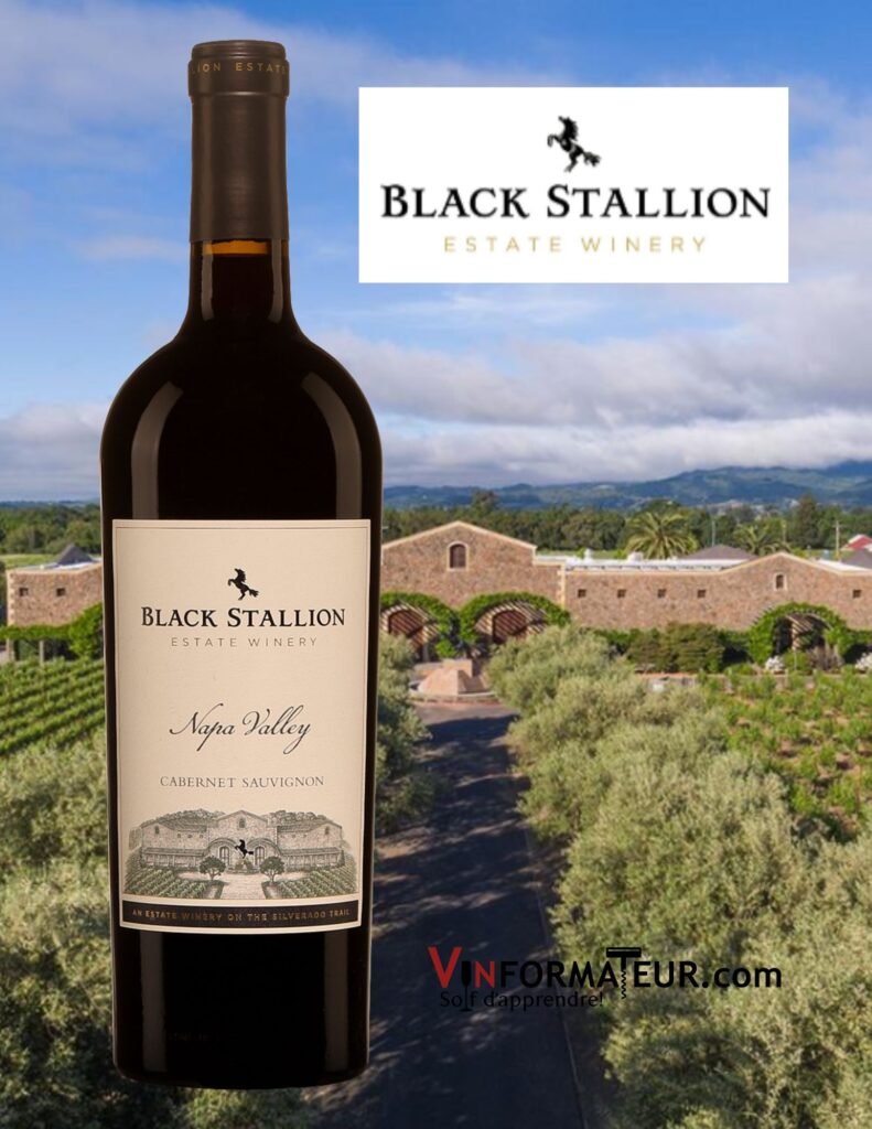 Black Stallion, Cabernet Sauvignon, Californie, Napa Valley, 2019 bouteille