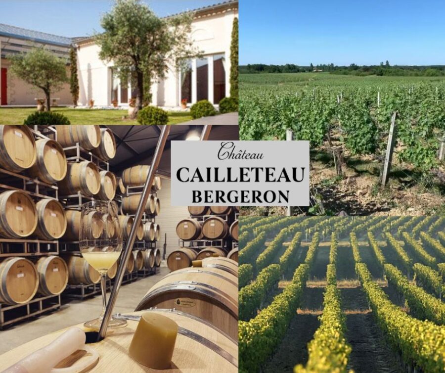 Château Cailleteau Bergeron: chai et vignobles