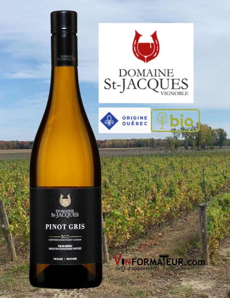 Domaine St-Jacques, Pinot Gris, 2021 bouteille