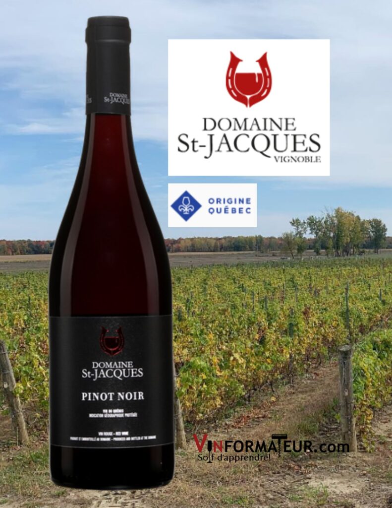 Domaine St-Jacques, Pinot Noir, vin rouge en conversion bio, 2020 bouteille