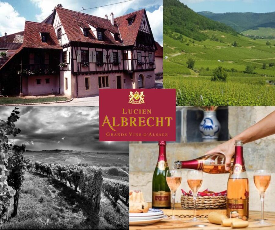 Domaine Lucien Albrecht: chai, vignobles et vins