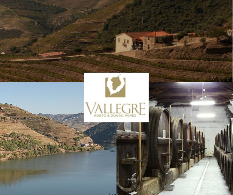 Vallegre Vinhos do Porto: chai et vignobles