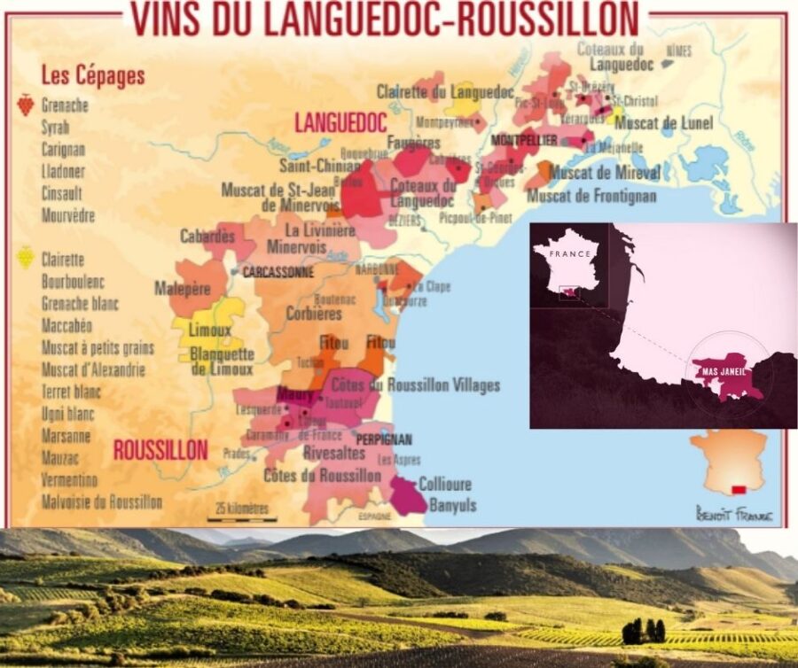 Carte viticole Languedoc Roussillon
