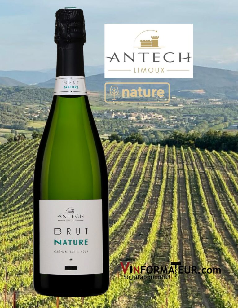 Antech, Crémant de Limoux, Brut, Nature, France, Languedoc-Roussillon, 2019 bouteille